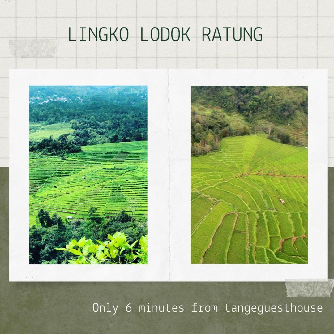 Tange Guest House Ruteng Exteriér fotografie